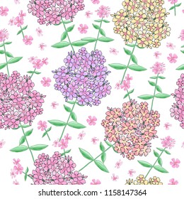 Seamless pattern with phlox flowers. Print for bed linens,clothes,  fabric, textiles, wallpaper, greeting cards, wrapping paper, gift box.
