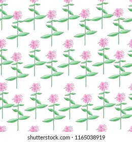 Seamless pattern with phlox flowers. Print for bed linens,clothes,  fabric, textiles, wallpaper, greeting cards, wrapping paper, gift box.

