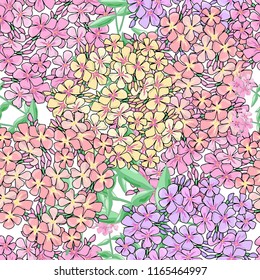 Seamless pattern with phlox flowers. Print for bed linens,clothes,  fabric, textiles, wallpaper, greeting cards, wrapping paper, gift box.
