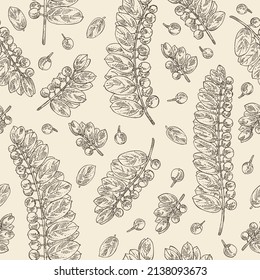 Nahtlose Muster mit Phyllanthus-Niruri: Pflanzliche Pflanze, Blätter und Nirururi-Beeren. Kosmetik, Parfüm und medizinische Anlagen. handgezeichnete Vektorgrafik