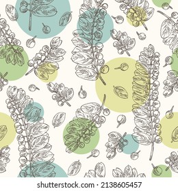 Patrón sin foco con filanthus niruri: fitosilanthus, hojas y fillanthus niruri berries. Cosmética, perfumería y planta médica. Ilustración dibujada a mano por el vector