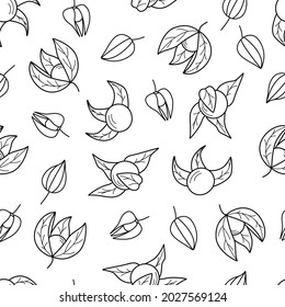 Seamless pattern of physalis flashlight, wallpaper contour of beautiful autumn berries and physalis leaves