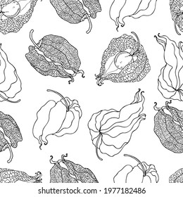 Seamless pattern Physalis hand drawn doodle vector sketch isolated on white background, graphic botanical berry, Organic healthy food ingredient backdrop ink illustration for restaurant menu, cosmetic