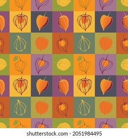 Seamless pattern with physalis on a colorful background. Illustration for restaurant menu, cosmetics, health care products, wrapping paper, post cards, prints for clothes.Vector illustration.