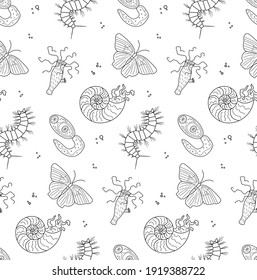 Patrón sin foco con imágenes de animales invertebrados. Adecuado para el fondo, el diseño biológico y la decoración.