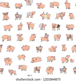 seamless pattern with pig, vector illustration