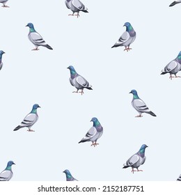 Seamless pattern with pigeon birds on a blue background. Vector illustration