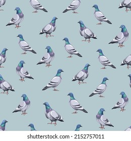 Seamless pattern with pigeon birds. Vector illustration