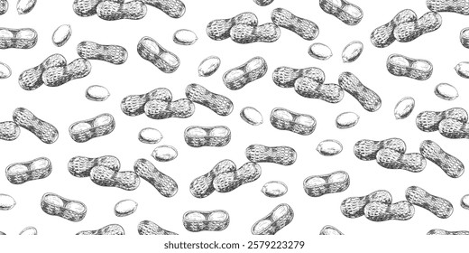 Seamless pattern with pile of peanuts in shells in sketch style. Black and white engraved raw peanuts isolated on white background. Background with hand drawn nuts or beans