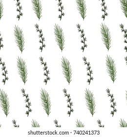seamless pattern of pine branches on white background