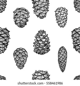 Seamless pattern with pine cones. Hand drawn sketch style vector illustration