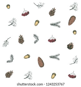 Seamless pattern with pine cones, rowan, fir branches, acorn. Vector illustration. Isolated