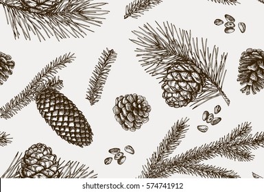 Seamless pattern with pine cones. Vector illustration