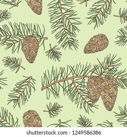 Seamless pattern with pine tree: branch of pine tree with cone. Vector hand drawn illustration.