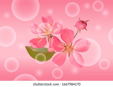 Seamless pattern with pink blossoming cherry for bed linen