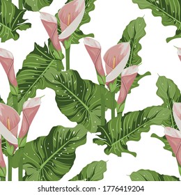Seamless pattern of pink calla lily flowers with leaves on white background. Blooming flower for your design. Adornment for wedding invitations and greeting card.