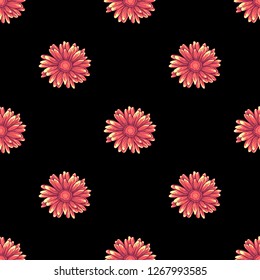 Seamless pattern with pink daisy flowers on dark black background