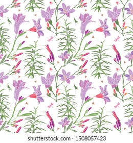 Seamless pattern of pink delicate irises on a green stem with leaves on a white background. blooming background