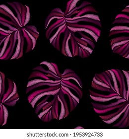 Seamless  pattern of pink embroidered tropical monstera palm leaves on black background. Embroidery stitches imitation