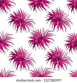 Seamless pattern with pink exotic flowers. Hand drawn vector on white background.