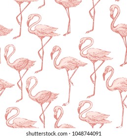 Seamless pattern with pink flamingo