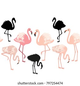 Seamless pattern with pink flamingo birds on white background