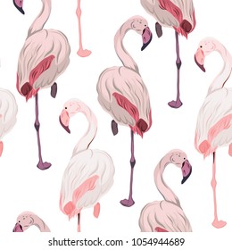 Seamless Pattern with Pink Flamingoes. Vector Illustration.