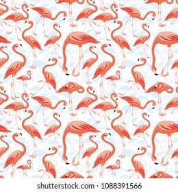 Seamless pattern with pink flamingos on white background.