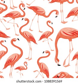 Seamless pattern with pink flamingos on white background.