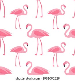Patrón de flamencos rosados que no se ve. Ilustración del vector