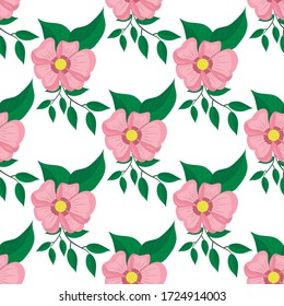 Patrón sin soldadura, flores rosas sobre fondo blanco, ilustración vectorial