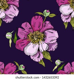 Seamless pattern  with  pink flowers of peony. Hand drawn ink sketch. Color objects on dark violet  background. Vector illustration.