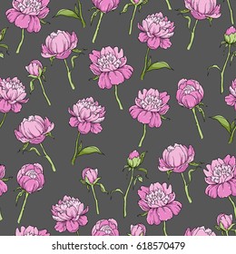 Seamless pattern with pink flowers of peony on dark background, hand drawing. Vector illustration
