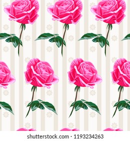Seamless pattern of pink flowers roses and leaves.