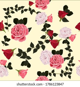 Patrón sin foco de rosas de flores rosadas. Patrón de impresión, moda y pañales