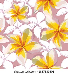 Seamless pattern pink Frangipani flowers on abstract background.Watercolor Drawing Vector illustration.
