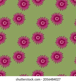 Patrón sin foco con gerbera rosa sobre fondo verde. Imagen vectorial.
