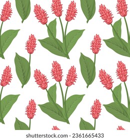 Seamless pattern, pink ginger flowers on a white background. Botanical print, textile, wallpaper. Vector