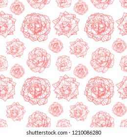 Seamless pattern with pink hand drawn roses on white background. Vector texture. 