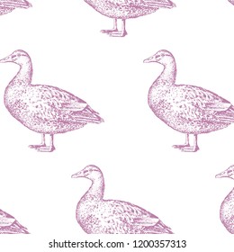Seamless pattern with pink hand-drawn ducks. Idea of package paper or fabric. Vector.