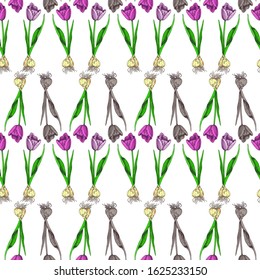 Seamless pattern of pink, lilac and brown tulips with bulbs. Individual flowers laid out symmetrically on a white background. Botanical vector spring pattern.