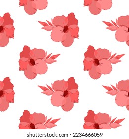 Seamless pattern with pink Mandevilla flowers. Vector pattern of monochrome flowers
