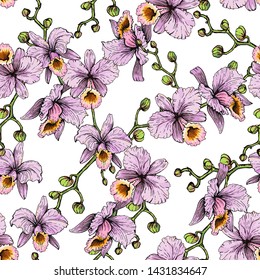 Seamless pattern of pink orchids on a white background