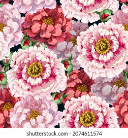 Seamless pattern with pink peonies on the black background. Vector textile print