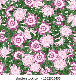 Seamless pattern with pink peony flowers, vector illustration.