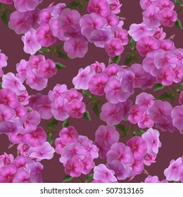 Seamless pattern with pink phlox on magenta background. Vector illustration.
