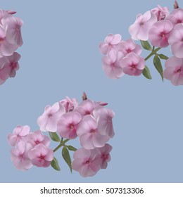 Seamless pattern with pink phlox on bluish background. Vector illustration.