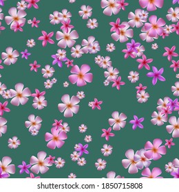 Seamless pattern with pink plumeria