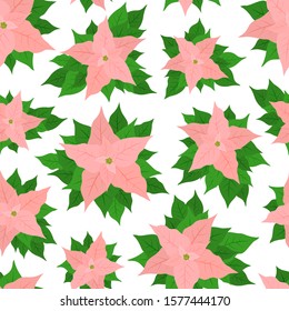 Seamless pattern with pink poinsettia on white background. Illustration with Christmas flower can be used for backdrops, wrapper, wallpaper, holiday cards, children's clothing or things design.