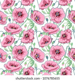 Seamless pattern pink poppies,vector illustration